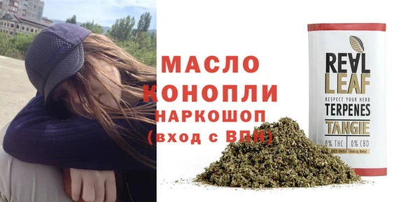 дмт Алексин