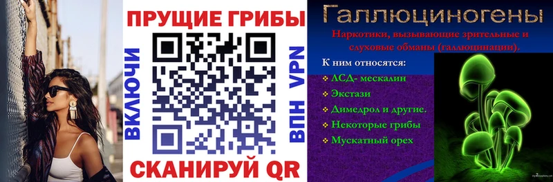 Купить  Южно-Сахалинск  Псилоцибиновые грибы GOLDEN TEACHER 